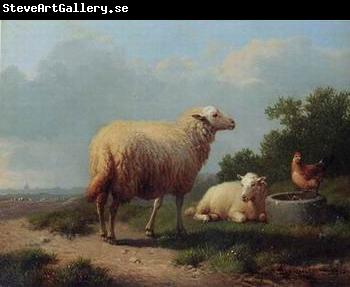 unknow artist Sheep 163